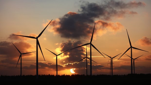 The scientific committee was established to advise the government on the health effects of wind turbines.