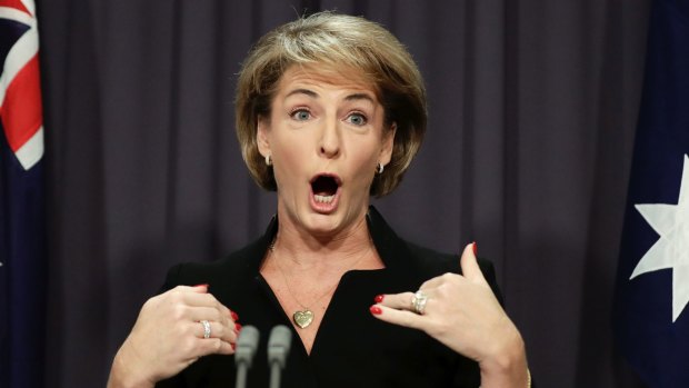 Minister for Jobs and Innovation Michaelia Cash addresses the media on Wednesday.
