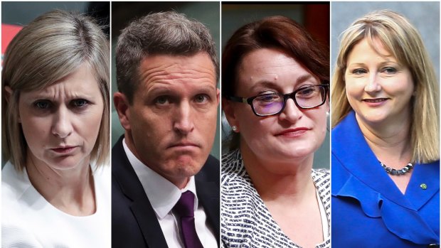 Susan Lamb, Josh Wilson, Justine Keay and Rebekha Sharkie all announced their resignations from Parliament on Wednesday. They will contest byelections in their electorates.