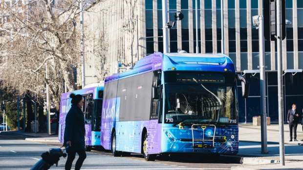 Canberra's bus network will be overhauled later this year. 
