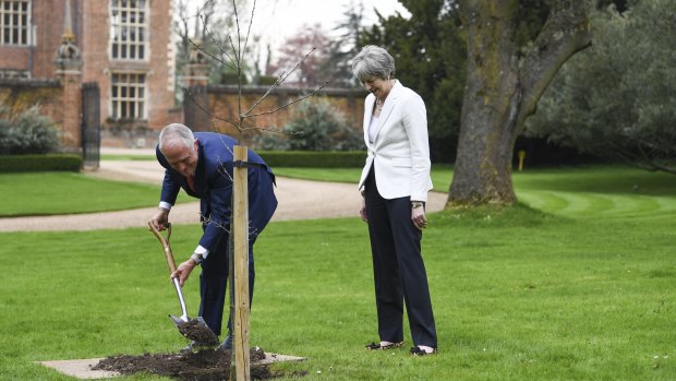 Prime Minister Malcolm Turnbull at a planting ceremony at Chequers outside London. 