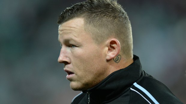 Bear cheek: North Sydney's interest in Todd Carney has not gone down well at Souths.