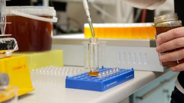 WA honey undergoing testing before it gets accredited and sent overseas.