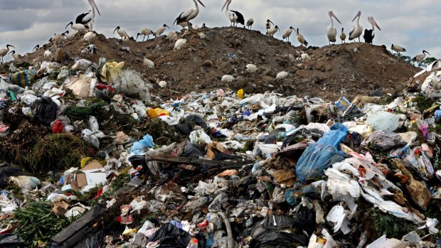 A rubbish dump at Eastern Creek, which might feed the proposed incinerator.