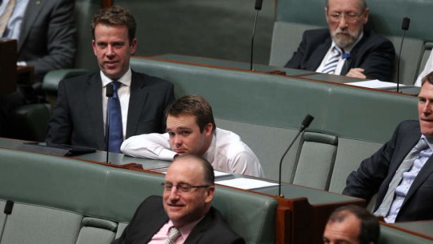 Liberal MP Wyatt Roy during the debate on the Carbon Tax Repeal Bills. Photo: Alex Ellinghausen