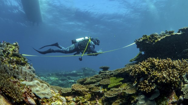 A recent research trip at Ningaloo.