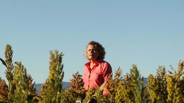 Fiona Simson says farmers selling direct to consumers is relatively niche. 