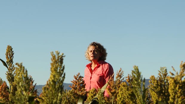 Fiona Simson says farmers selling direct to consumers is relatively niche. 