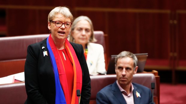 Senator Janet Rice during question time. 