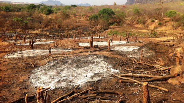 Threats from expanding slash and burn agriculture are placing pressure on many national parks around the world, even the better managed ones such as Niassa Reserve in Mozambique.