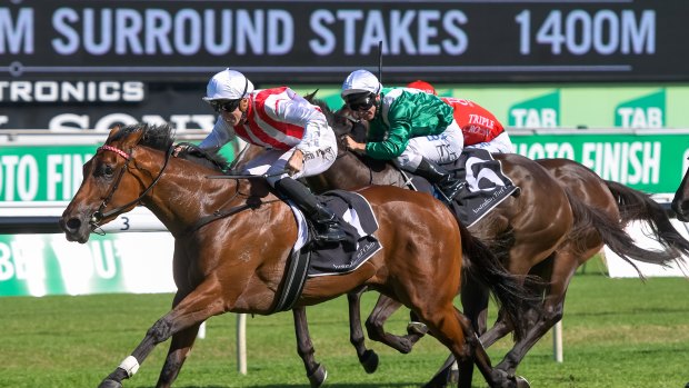 On the way back: Shoals wins the Surround Stakes at Randwick.