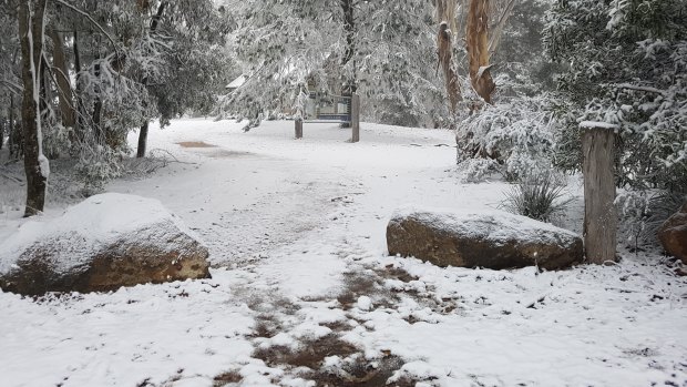 Snow covers the ground at the ACT's Namadgi National Park.
