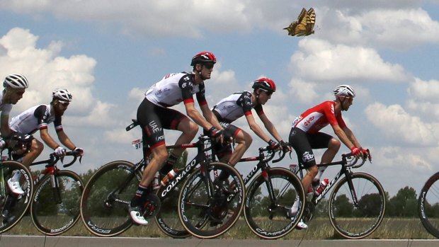 Butterfly effect: Sutherland (third from right) is accompanied by a butterfly during the opening stage of this year's Tour.