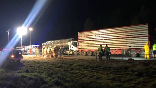 About 70 head of cattle are believed to be trapped on a B-Double involved in a crash on the Calder Freeway.  