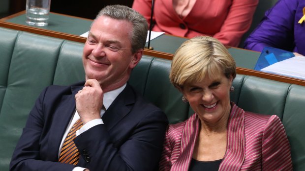 Leader of the house Christopher Pyne and Foreign Affairs Minister Julie Bishop during question time on Tuesday.