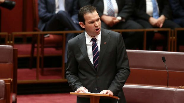 Senator Matthew Canavan delivers his first speech. Photo: Alex Ellinghausen