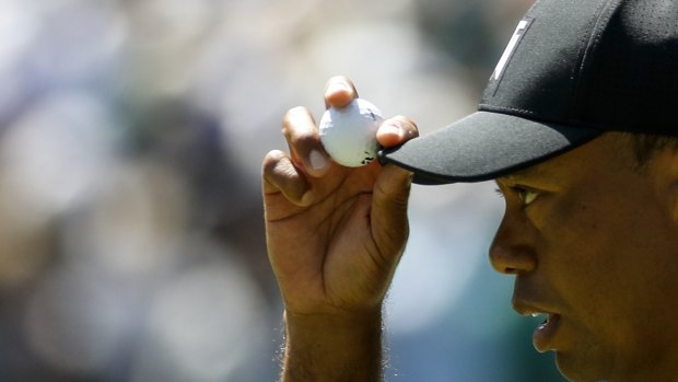 Hanging tough: Tiger Woods.