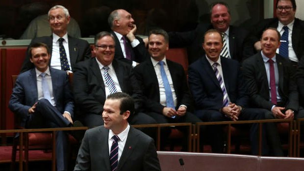 Senator Matthew Canavan delivers his first speech. Photo: Alex Ellinghausen