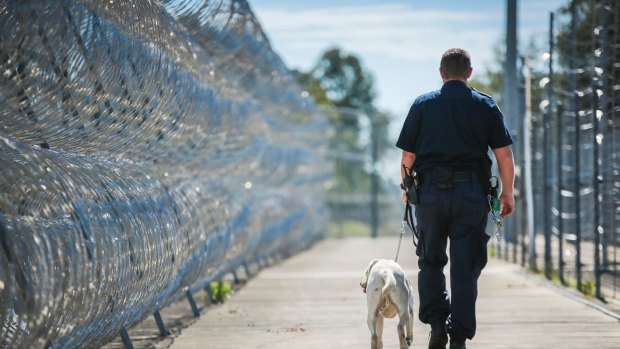 Queensland's prison population has increased by more than 50 per cent since January 2012.