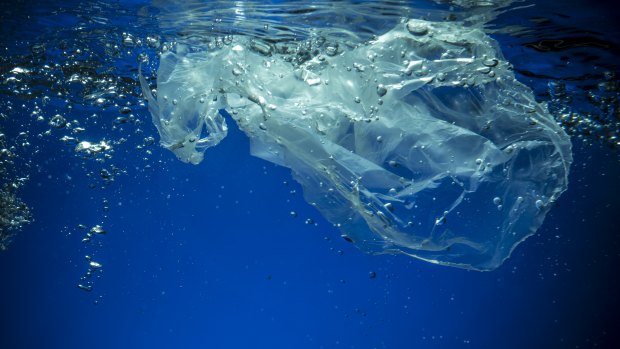 Australia consumes at least 9 billion single-use plastic bags a year but the tide is turning.