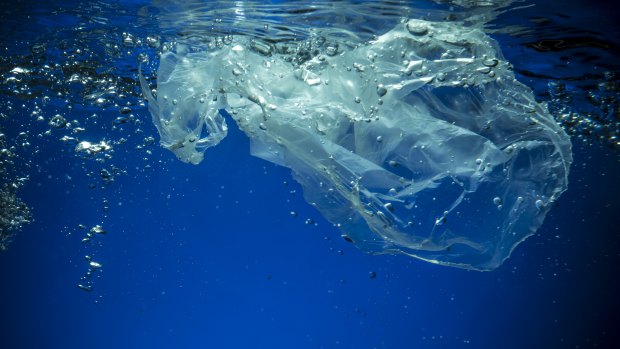 Here in Melbourne, 800 million pieces of mainly plastic waste flow annually into Port Phillip Bay from the Yarra 