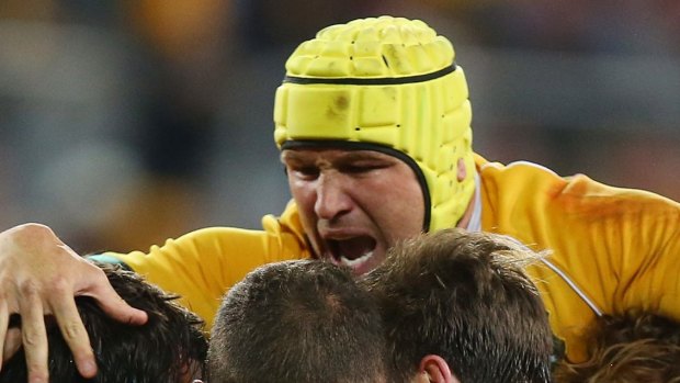 BRISBANE, AUSTRALIA - JULY 18:  Matthew Giteau of the Wallabies celebrates a try by team mate Adam Ashley-Cooper of the Wallabies during The Rugby Championship match between the Australian Wallabies and the South Africa Springboks at Suncorp Stadium on July 18, 2015 in Brisbane, Australia.  (Photo by Chris Hyde/Getty Images)