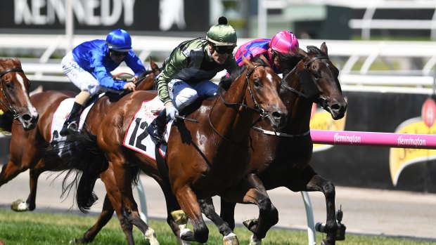 Part of the family:  Not a Single Cent wins the VRC  Sires' Produce Stakes at Flemington.