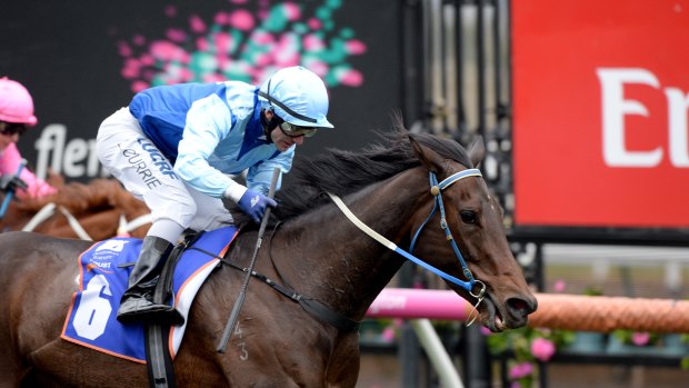 Sport of kings: The horse at the centre of  the Aquanita scandal, Lovani, wins at Flemington in 2017.