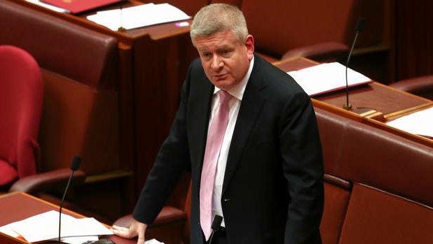 Manager of Government Business in the Senate, Senator Mitch Fifield, during a motion to vary the routine of business in the Senate. Photo: Alex Ellinghausen
