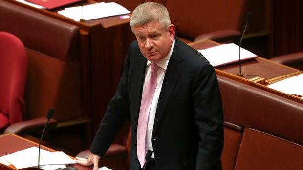 Manager of Government Business in the Senate, Senator Mitch Fifield, during a motion to vary the routine of business in the Senate. Photo: Alex Ellinghausen