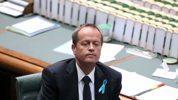 Opposition Leader Bill Shorten during question time. Photo: Andrew Meares