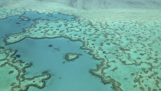 Flight Centre cofounder Graham Turner said the sensitive Great Barrier Reef needed protecting.