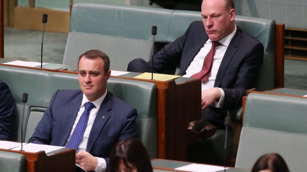 Liberal MPs Tim Wilson and Trent Zimmerman are pro-legalisation.