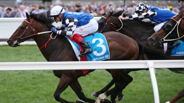 Back again: Brave Smash will run in the Chris Waller Racing slot in October's Everest. 