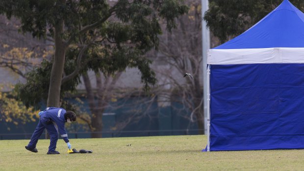 Black shoes were found in the middle of the pitch, not far from the woman's body.