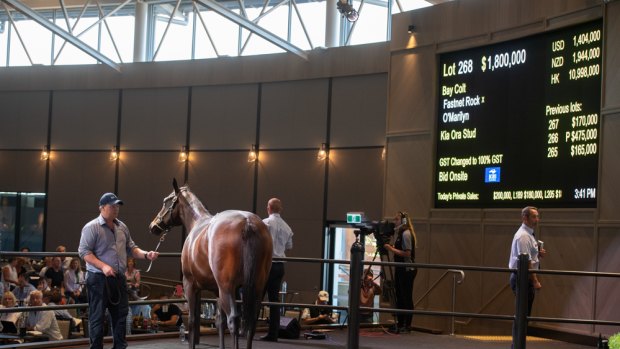 Another million-dollar baby: Lot 268 sold to George Moore Bloodstock for $1.8 million.