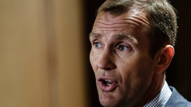 NSW Education Minister Rob Stokes says NAPLAN should be replaced "with some urgency".