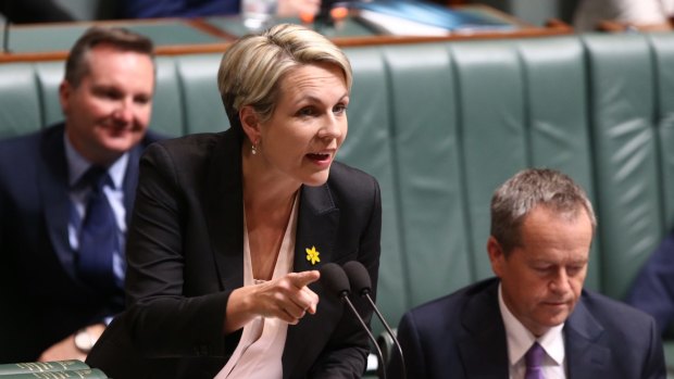 Deputy Opposition Leader Tanya Plibersek during question time  on Wednesday.