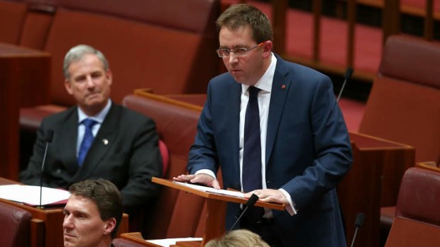 Senator James McGrath delivers his first speech. Photo: Alex Ellinghausen