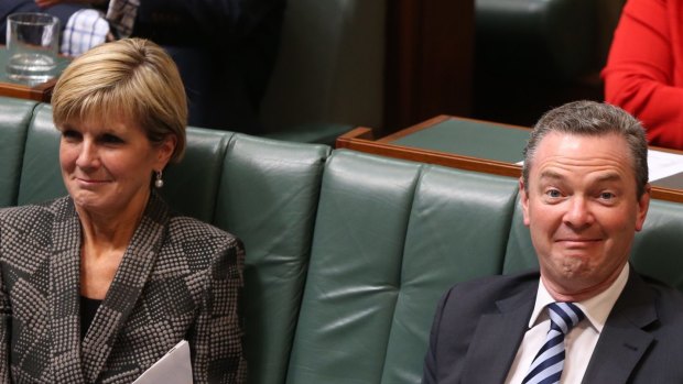 Foreign Affairs Minister Julie Bishop and Education Minister Christopher Pyne look suprised as the Speaker references the Mid Winter Ball during question time  on Thursday.
