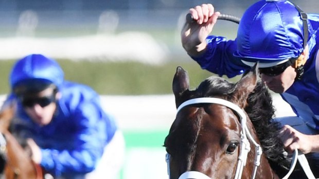 Her race: Winx charges home to win the Warwick Stakes last year