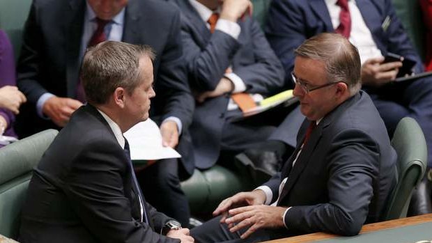 Opposition Leader Bill Shorten and Anthony Albanese during question time. Photo: Andrew Meares