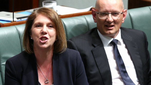 Opposition health spokeswoman Catherine King in Question Time today.