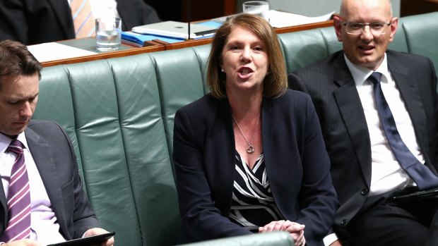 Opposition health spokeswoman Catherine King in Question Time today.