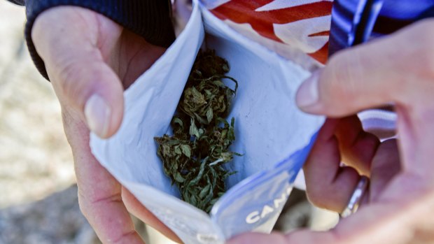 User Jose Bertullo shows his 10-gram bag of legal marijuana bought at a pharmacy in Montevideo, Uruguay. .