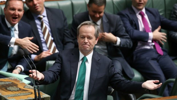 Opposition leader Bill Shorten during question time on Wednesday.