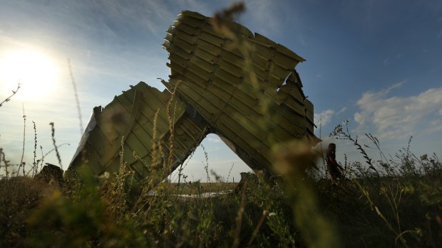 Crash debris from flight MH17  in the fields outside the village of Grabovka, Ukraine, in 2014.