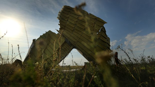 Crash debris from flight MH17  in the fields outside the village of Grabovka, Ukraine, in 2014.