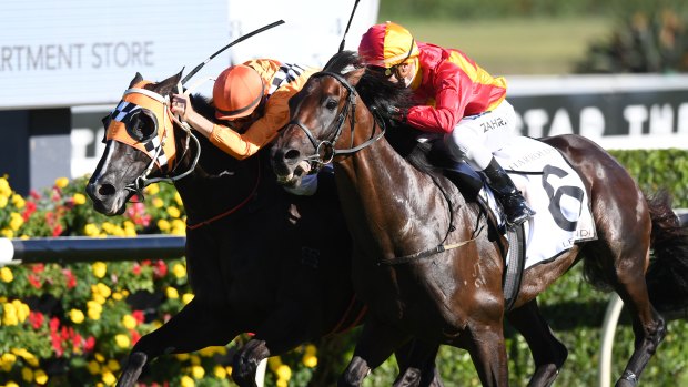 Drive to the line: Levendi gets the bob in from Ace High to win the Australian Derby.