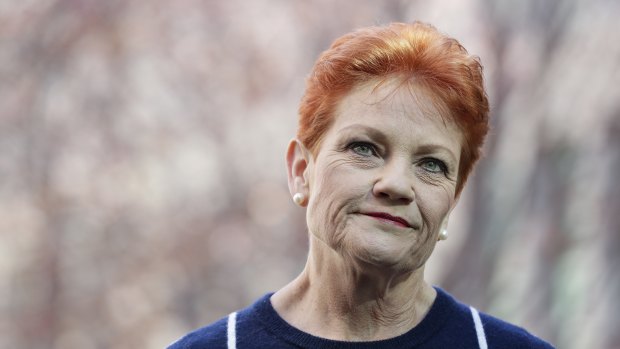 Winning candidates have a poor success rate: One Nation senator Pauline Hanson at Parliament House in Canberra this week.